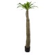 Artificial Garden PACHYPODIUM LAMEREI PALM TREE 20130 Τεχνητό Διακοσμητικό Φυτό Φοίνικας της Μαγαδασκάρης Υ175cm