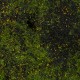 Artificial Garden BRYOPHYTA 20146 Τεχνητό Διακοσμητικό Πάνελ Φυλλωσιάς - Κάθετος Κήπος Βρύα Μ100 x Π100 x Υ2cm