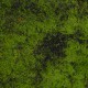 Artificial Garden BRYOPHYTA 20146 Τεχνητό Διακοσμητικό Πάνελ Φυλλωσιάς - Κάθετος Κήπος Βρύα Μ100 x Π100 x Υ2cm