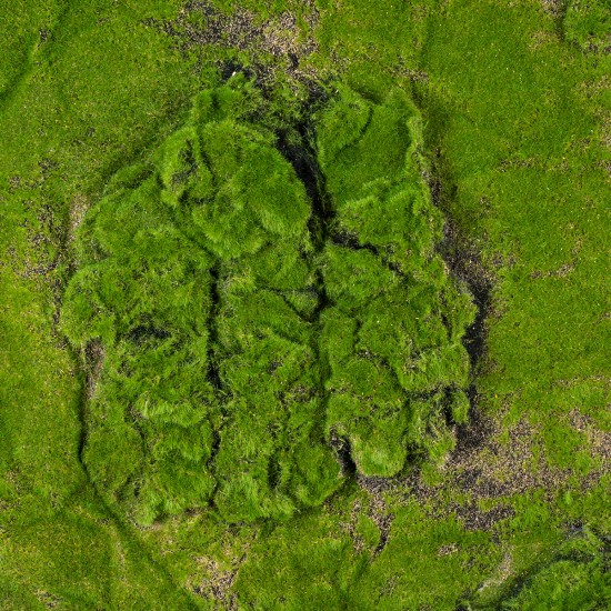 Artificial Garden BRYOPHYTA 20148 Τεχνητό Διακοσμητικό Πάνελ Φυλλωσιάς - Κάθετος Κήπος Βρύα Μ100 x Π100 x Υ4cm
