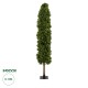 Artificial Garden BUXUS 20157 Τεχνητό Διακοσμητικό Φυτό Πυξός Υ180cm