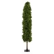 Artificial Garden BUXUS 20157 Τεχνητό Διακοσμητικό Φυτό Πυξός Υ180cm