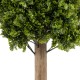 Artificial Garden BUXUS 20157 Τεχνητό Διακοσμητικό Φυτό Πυξός Υ180cm