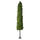 Artificial Garden BUXUS 20158 Τεχνητό Διακοσμητικό Φυτό Πυξός Υ250cm