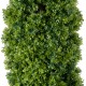 Artificial Garden BUXUS 20158 Τεχνητό Διακοσμητικό Φυτό Πυξός Υ250cm