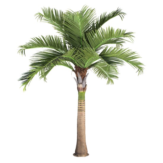 Artificial Garden COCONUT PALM TREE 20169 Τεχνητό Διακοσμητικό Φυτό Φοινικόδεντρο Κοκοφοίνικας Εξωτερικού Χώρου IP68 UV Certified Protection Υ400cm