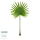 Artificial Garden SERENOA PALM LEAF 20172 Τεχνητό Διακοσμητικό Φύλο Φοινικόδεντρου Σερενόα Βεντάλια Π77 x Υ140cm