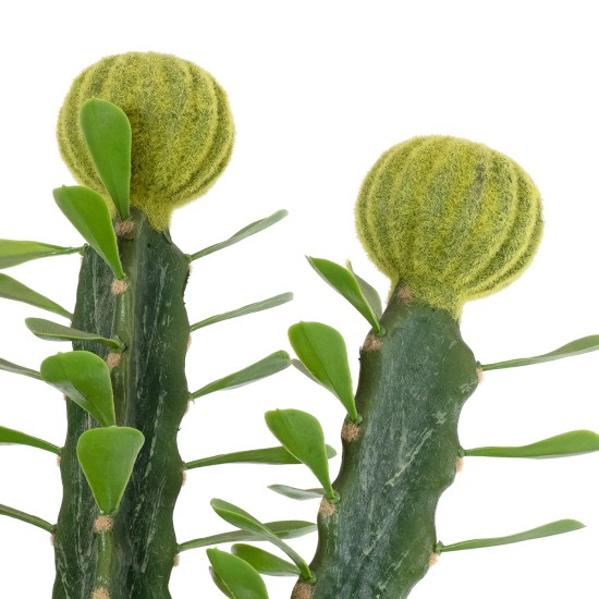 Artificial Garden CEREUS JAMACARU CACTUS 20193 Τεχνητό Διακοσμητικό Φυτό Κάκτος Κηρίος Υ120cm