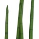 Artificial Garden SANSEVIERIA CYLINDRICA 20210 Τεχνητό Διακοσμητικό Φυτό Σανσεβιέρια Υ120cm