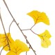 Artificial Garden GINKGO BRANCH 20229 10 x Τεχνητά Διακοσμητικά Κλαδία Γκίγκο Π50 x Υ65cm