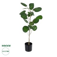 Artificial Garden POLYSCIAS BALFOURIANA TREE 20373 Τεχνητό Διακοσμητικό Φυτό Πολυσκιά Υ70cm