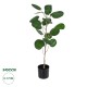 Artificial Garden POLYSCIAS BALFOURIANA TREE 20373 Τεχνητό Διακοσμητικό Φυτό Πολυσκιά Υ70cm