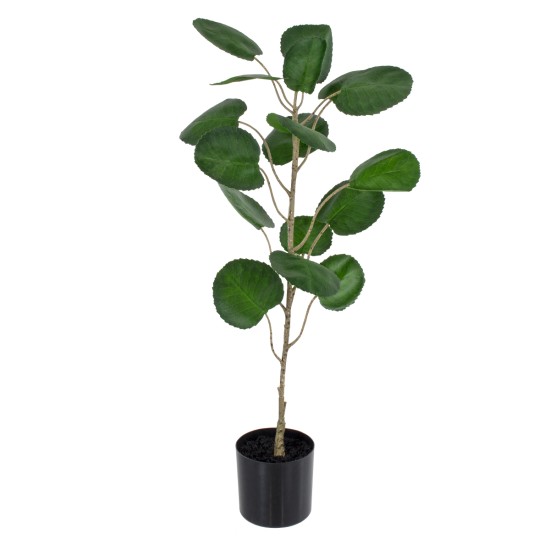 Artificial Garden POLYSCIAS BALFOURIANA TREE 20373 Τεχνητό Διακοσμητικό Φυτό Πολυσκιά Υ70cm