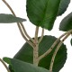 Artificial Garden POLYSCIAS BALFOURIANA TREE 20373 Τεχνητό Διακοσμητικό Φυτό Πολυσκιά Υ70cm