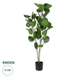 Artificial Garden POLYSCIAS BALFOURIANA TREE 20374 Τεχνητό Διακοσμητικό Φυτό Πολυσκιά Υ110cm