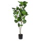 Artificial Garden POLYSCIAS BALFOURIANA TREE 20374 Τεχνητό Διακοσμητικό Φυτό Πολυσκιά Υ110cm