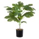 Artificial Garden FIG TREE 20380 Τεχνητό Διακοσμητικό Φυτό Συκιά Υ50cm