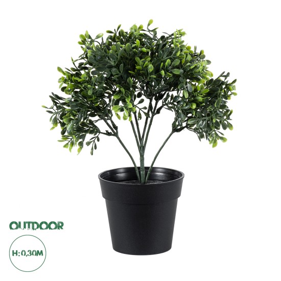 Artificial Garden BUXUS 20387 Τεχνητό Διακοσμητικό Φυτό Πυξός Υ30cm