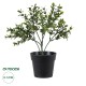 Artificial Garden BUXUS 20388 Τεχνητό Διακοσμητικό Φυτό Πυξός Υ30cm