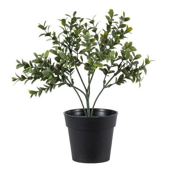 Artificial Garden BUXUS 20388 Τεχνητό Διακοσμητικό Φυτό Πυξός Υ30cm