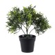 Artificial Garden BABY BAMBOO 20391 Τεχνητό Διακοσμητικό Φυτό Μικρό Μπαμπού Υ30cm