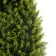 Artificial Garden CYPRESSUS SEMPERVIRENS 20396 Τεχνητό Διακοσμητικό Φυτό Μεσογειακό Κυπαρίσσι Υ180cm