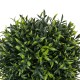 Artificial Garden FICUS BENJAMINA TREE 20397 Τεχνητό Διακοσμητικό Φυτό Φίκος Μπενζαμίνη Υ35cm