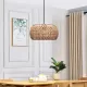 DARIO 204-0168 Boho Κρεμαστό Φωτιστικό Kαπέλο Μονόφωτο 1 x E27 IP20 Καφέ Σχοινί - Μ30 x Π30 x Υ15cm
