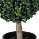 Artificial Garden BUXUS 20404 Τεχνητό Διακοσμητικό Φυτό Πυξός Υ35cm