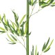 Artificial Garden BAMBOO BRANCH 20440 Τεχνητό Διακοσμητικό Κλαδί Μπαμπού Υ250cm