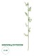 Artificial Garden BAMBOO BRANCH 20441 Τεχνητό Διακοσμητικό Κλαδί Μπαμπού Υ300cm