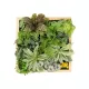 Artificial Garden VARIOUS PLANT 20641 Τεχνητό Διακοσμητικό Φυλλωσιάς σε Ξύλινο Πάνελ - Κάθετος Κήπος Μιξ Μ60 x Π60 x Υ32cm Artificial Garden VARIOUS PLANT 20641 Τεχνητό Διακοσμητικό Φυλλωσιάς σε Ξύλινο Πάνελ - Κάθετος Κήπος Μιξ Μ60 x Π60 x Υ32cm