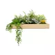 Artificial Garden VARIOUS PLANT 20641 Τεχνητό Διακοσμητικό Φυλλωσιάς σε Ξύλινο Πάνελ - Κάθετος Κήπος Μιξ Μ60 x Π60 x Υ32cm Artificial Garden VARIOUS PLANT 20641 Τεχνητό Διακοσμητικό Φυλλωσιάς σε Ξύλινο Πάνελ - Κάθετος Κήπος Μιξ Μ60 x Π60 x Υ32cm