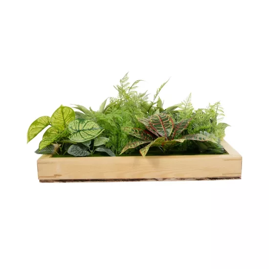 Artificial Garden VARIOUS PLANT 20641 Τεχνητό Διακοσμητικό Φυλλωσιάς σε Ξύλινο Πάνελ - Κάθετος Κήπος Μιξ Μ60 x Π60 x Υ32cm Artificial Garden VARIOUS PLANT 20641 Τεχνητό Διακοσμητικό Φυλλωσιάς σε Ξύλινο Πάνελ - Κάθετος Κήπος Μιξ Μ60 x Π60 x Υ32cm