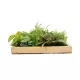 Artificial Garden VARIOUS PLANT 20641 Τεχνητό Διακοσμητικό Φυλλωσιάς σε Ξύλινο Πάνελ - Κάθετος Κήπος Μιξ Μ60 x Π60 x Υ32cm Artificial Garden VARIOUS PLANT 20641 Τεχνητό Διακοσμητικό Φυλλωσιάς σε Ξύλινο Πάνελ - Κάθετος Κήπος Μιξ Μ60 x Π60 x Υ32cm
