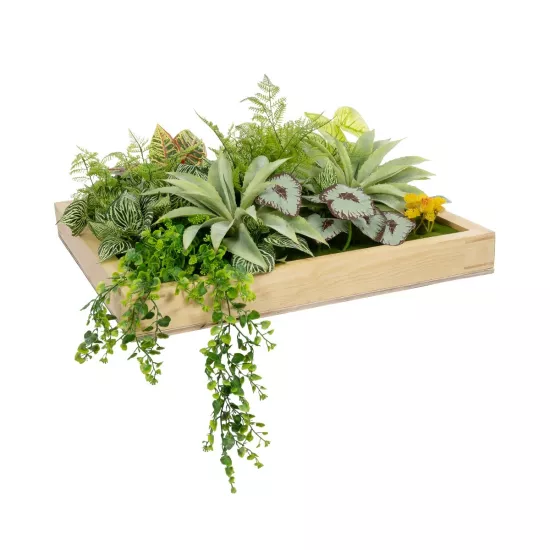 Artificial Garden VARIOUS PLANT 20641 Τεχνητό Διακοσμητικό Φυλλωσιάς σε Ξύλινο Πάνελ - Κάθετος Κήπος Μιξ Μ60 x Π60 x Υ32cm Artificial Garden VARIOUS PLANT 20641 Τεχνητό Διακοσμητικό Φυλλωσιάς σε Ξύλινο Πάνελ - Κάθετος Κήπος Μιξ Μ60 x Π60 x Υ32cm