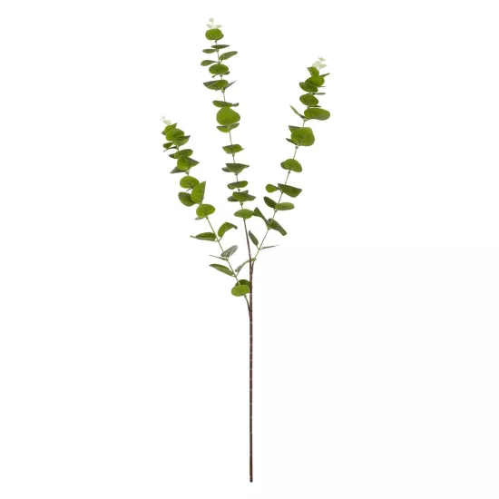Artificial Garden EUCALYPTUS BRANCH 20484 Τεχνητό Διακοσμητικό Κλαδί Ευκάλυπτου Πράσινο Π30 x Μ30 x Υ80m Artificial Garden EUCALYPTUS BRANCH 20484 Τεχνητό Διακοσμητικό Κλαδί Ευκάλυπτου Πράσινο Π30 x Μ30 x Υ80m