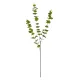 Artificial Garden EUCALYPTUS BRANCH 20484 Τεχνητό Διακοσμητικό Κλαδί Ευκάλυπτου Πράσινο Π30 x Μ30 x Υ80m Artificial Garden EUCALYPTUS BRANCH 20484 Τεχνητό Διακοσμητικό Κλαδί Ευκάλυπτου Πράσινο Π30 x Μ30 x Υ80m