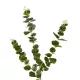 Artificial Garden EUCALYPTUS BRANCH 20484 Τεχνητό Διακοσμητικό Κλαδί Ευκάλυπτου Πράσινο Π30 x Μ30 x Υ80m Artificial Garden EUCALYPTUS BRANCH 20484 Τεχνητό Διακοσμητικό Κλαδί Ευκάλυπτου Πράσινο Π30 x Μ30 x Υ80m