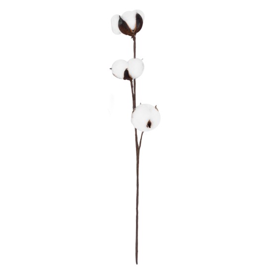 Artificial Garden COTTON BRANCH 20493 Τεχνητό Διακοσμητικό Κλαδί βαμβάκι Υ43cm Artificial Garden COTTON BRANCH 20493 Τεχνητό Διακοσμητικό Κλαδί βαμβάκι Υ43cm