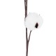 Artificial Garden COTTON BRANCH 20493 Τεχνητό Διακοσμητικό Κλαδί βαμβάκι Υ43cm Artificial Garden COTTON BRANCH 20493 Τεχνητό Διακοσμητικό Κλαδί βαμβάκι Υ43cm