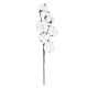 Artificial Garden COTTON BRANCH 20558 Τεχνητό Διακοσμητικό Κλαδί βαμβάκι Υ45cm Artificial Garden COTTON BRANCH 20558 Τεχνητό Διακοσμητικό Κλαδί βαμβάκι Υ45cm