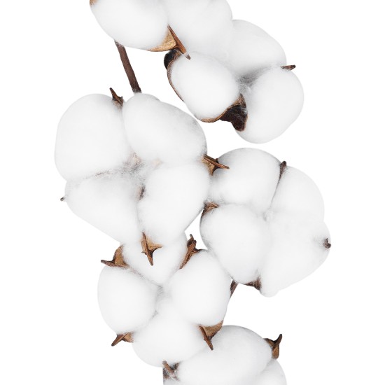 Artificial Garden COTTON BRANCH 20558 Τεχνητό Διακοσμητικό Κλαδί βαμβάκι Υ45cm Artificial Garden COTTON BRANCH 20558 Τεχνητό Διακοσμητικό Κλαδί βαμβάκι Υ45cm
