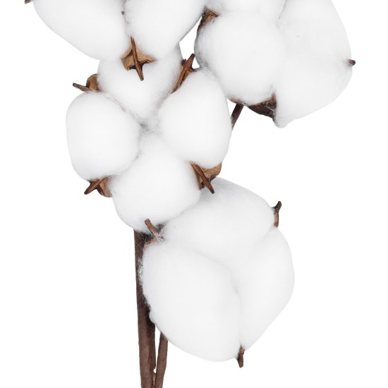 Artificial Garden COTTON BRANCH 20558 Τεχνητό Διακοσμητικό Κλαδί βαμβάκι Υ45cm Artificial Garden COTTON BRANCH 20558 Τεχνητό Διακοσμητικό Κλαδί βαμβάκι Υ45cm
