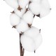 Artificial Garden COTTON BRANCH 20558 Τεχνητό Διακοσμητικό Κλαδί βαμβάκι Υ45cm Artificial Garden COTTON BRANCH 20558 Τεχνητό Διακοσμητικό Κλαδί βαμβάκι Υ45cm