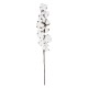 Artificial Garden COTTON BRANCH 20559 Τεχνητό Διακοσμητικό Κλαδί βαμβάκι Y55cm Artificial Garden COTTON BRANCH 20559 Τεχνητό Διακοσμητικό Κλαδί βαμβάκι Y55cm