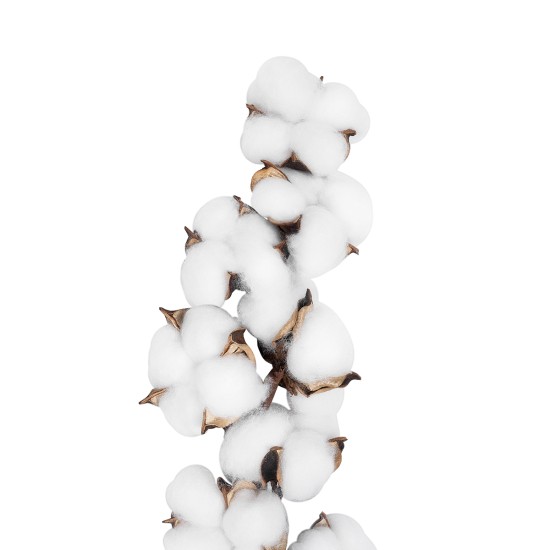 Artificial Garden COTTON BRANCH 20559 Τεχνητό Διακοσμητικό Κλαδί βαμβάκι Y55cm Artificial Garden COTTON BRANCH 20559 Τεχνητό Διακοσμητικό Κλαδί βαμβάκι Y55cm