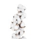 Artificial Garden COTTON BRANCH 20559 Τεχνητό Διακοσμητικό Κλαδί βαμβάκι Y55cm Artificial Garden COTTON BRANCH 20559 Τεχνητό Διακοσμητικό Κλαδί βαμβάκι Y55cm