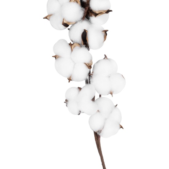Artificial Garden COTTON BRANCH 20559 Τεχνητό Διακοσμητικό Κλαδί βαμβάκι Y55cm Artificial Garden COTTON BRANCH 20559 Τεχνητό Διακοσμητικό Κλαδί βαμβάκι Y55cm