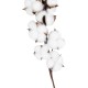 Artificial Garden COTTON BRANCH 20559 Τεχνητό Διακοσμητικό Κλαδί βαμβάκι Y55cm Artificial Garden COTTON BRANCH 20559 Τεχνητό Διακοσμητικό Κλαδί βαμβάκι Y55cm
